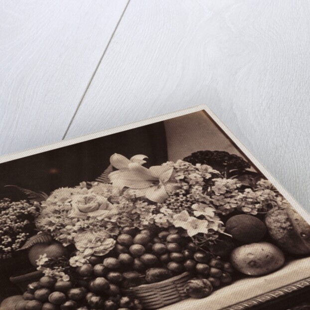 Flowers and Fruit by Roger Fenton