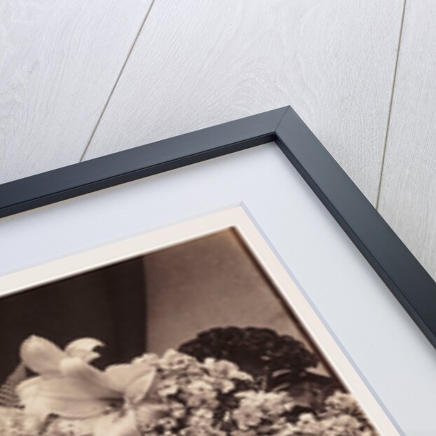 Flowers and Fruit by Roger Fenton