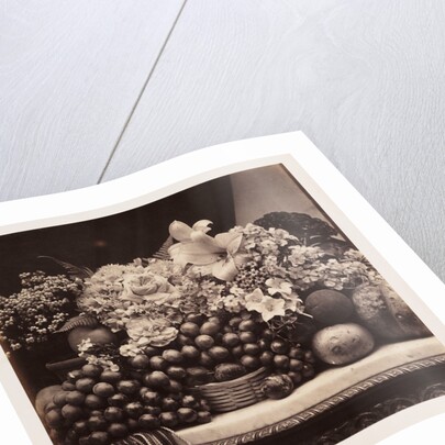 Flowers and Fruit by Roger Fenton