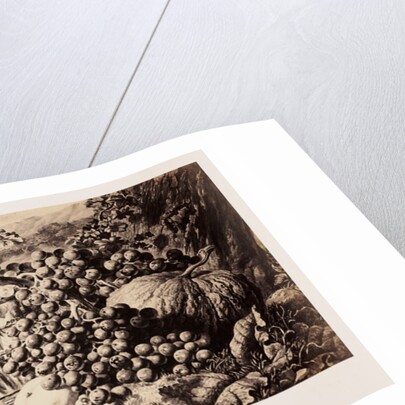 Comus: Picture by Roger Fenton