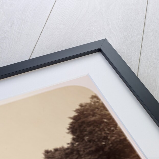 The Long Walk by Roger Fenton