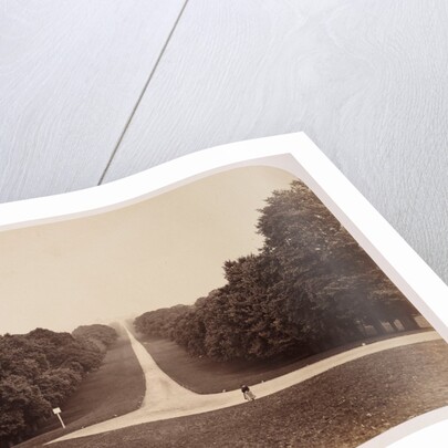 The Long Walk by Roger Fenton