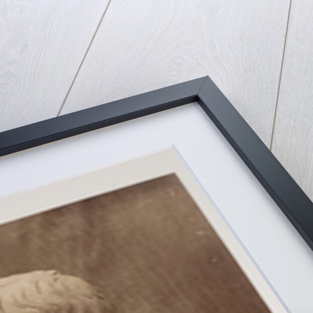 Augustus Caesar (Burke Collection) by Roger Fenton