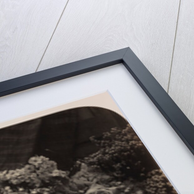 Still Life with Vase by Roger Fenton