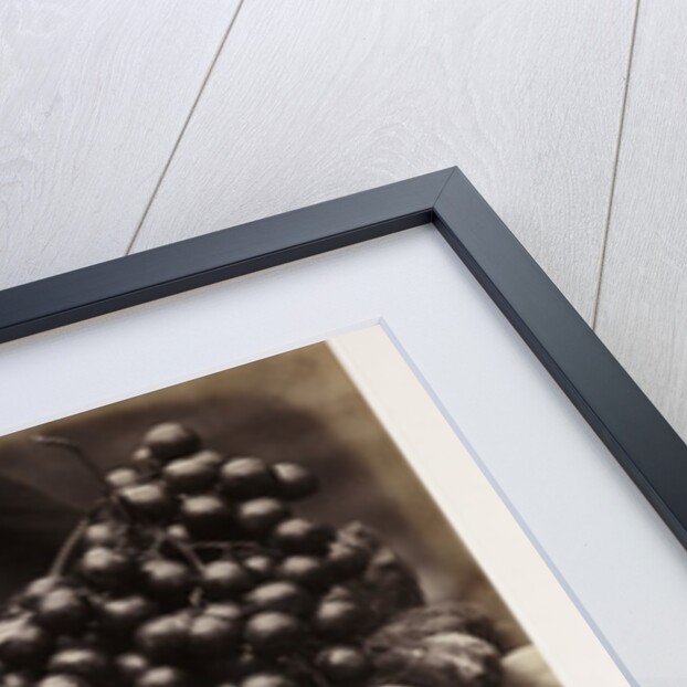 Still life with ivory tankard and fruit by Roger Fenton