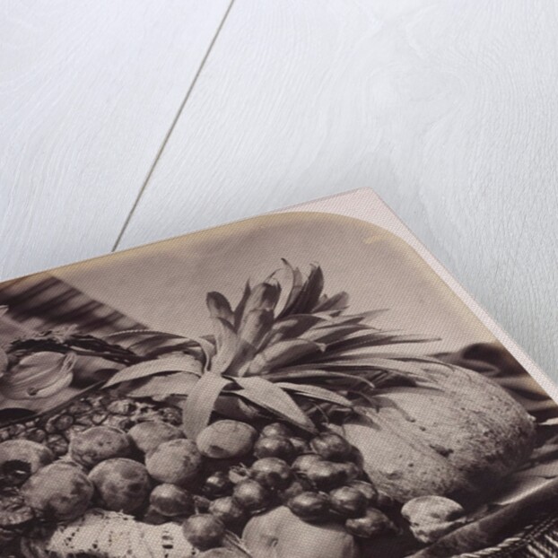 Fruit and flowers by Roger Fenton