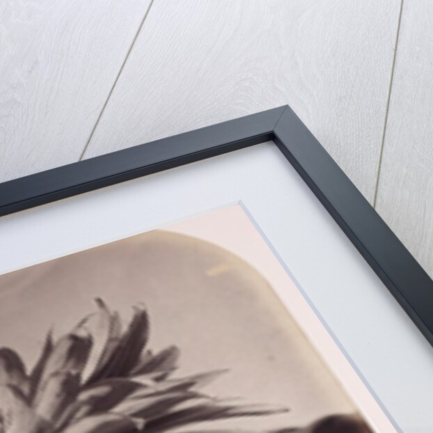 Fruit and flowers by Roger Fenton