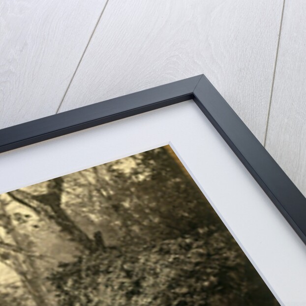 Bridge over Rungoo below Ging by Samuel Bourne