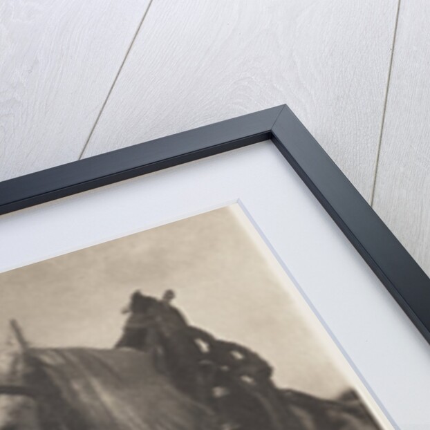 Horses by Alfred Stieglitz