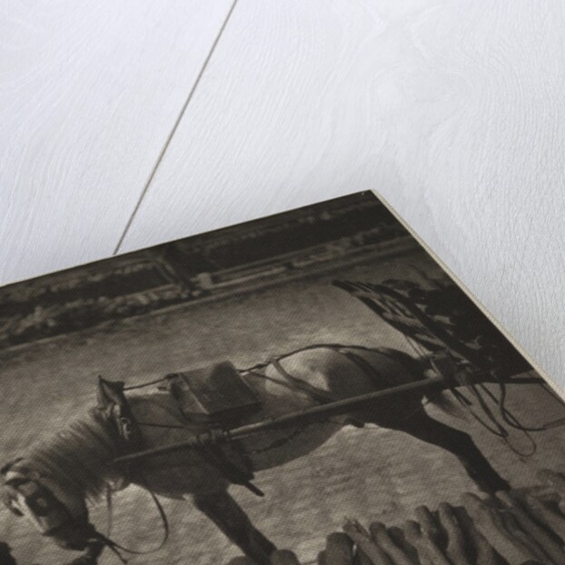 A Snapshot by Alfred Stieglitz