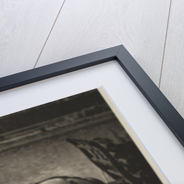 A Snapshot by Alfred Stieglitz