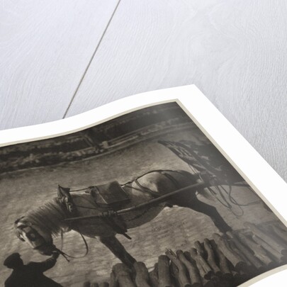 A Snapshot by Alfred Stieglitz