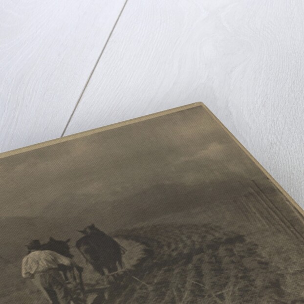 Ploughing - The  Tirol by Alfred Stieglitz
