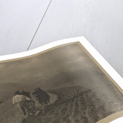 Ploughing - The  Tirol by Alfred Stieglitz