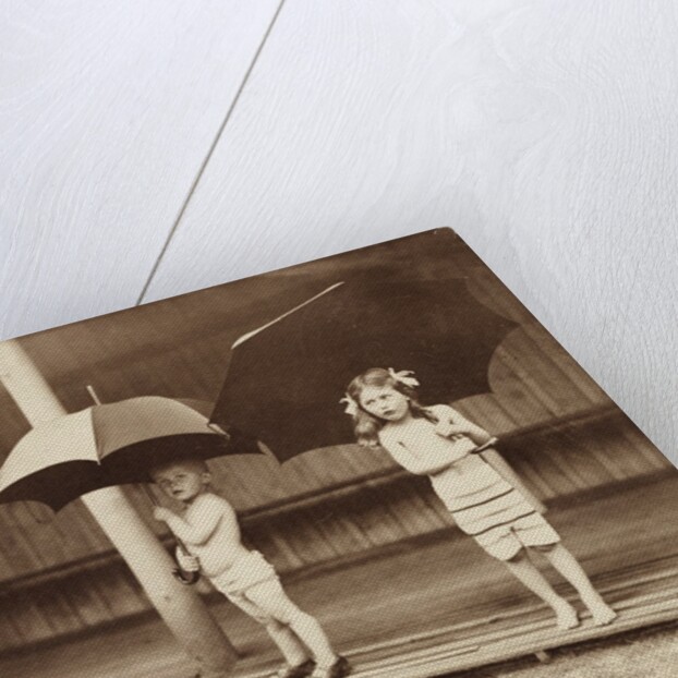 An Air Bath in the Rain by Andrew Pitcairn-Knowles