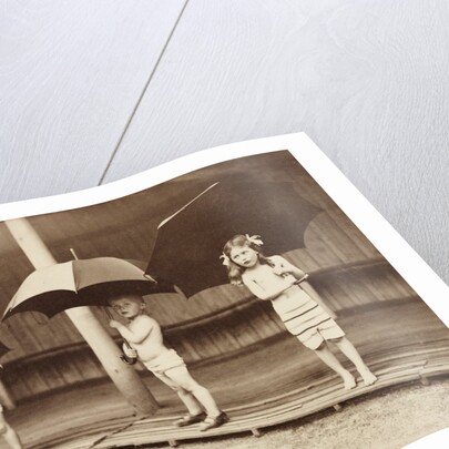 An Air Bath in the Rain by Andrew Pitcairn-Knowles