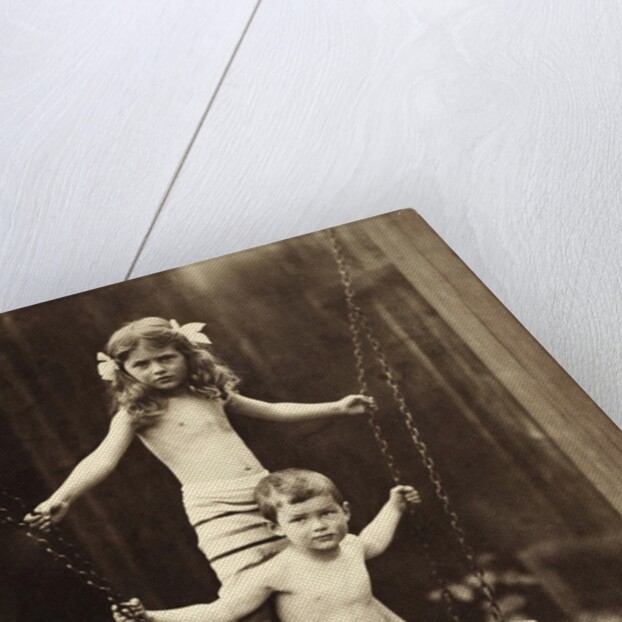 An Air Bath Swing by Andrew Pitcairn-Knowles