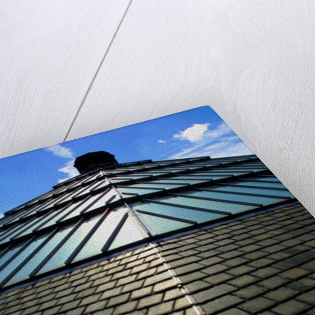 Roofscape of the V&A Museum by Anonymous
