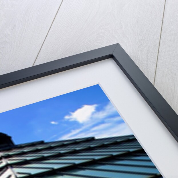 Roofscape of the V&A Museum by Anonymous