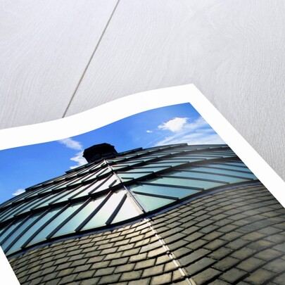 Roofscape of the V&A Museum by Anonymous