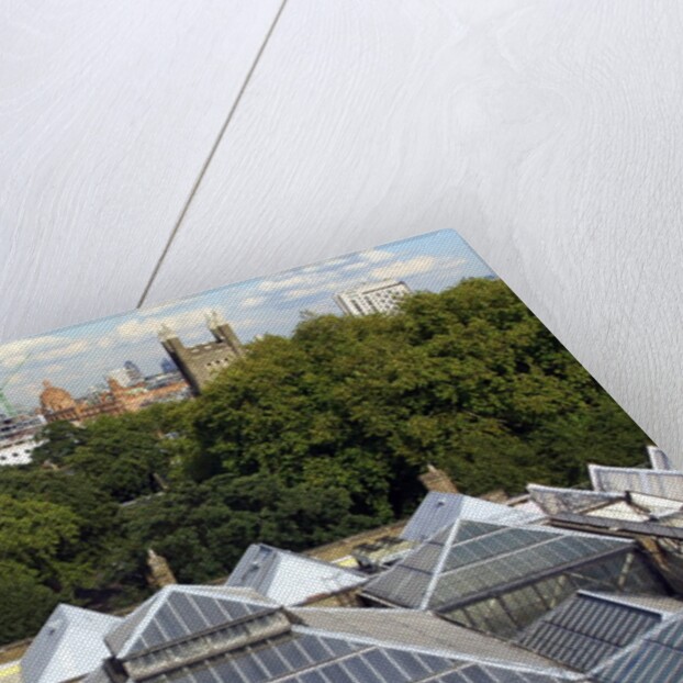 Roofscape of the V&A Museum by Anonymous