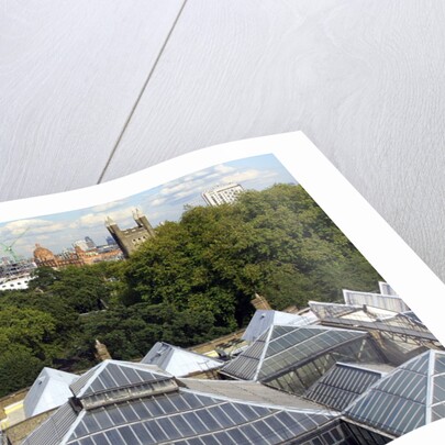 Roofscape of the V&A Museum by Anonymous