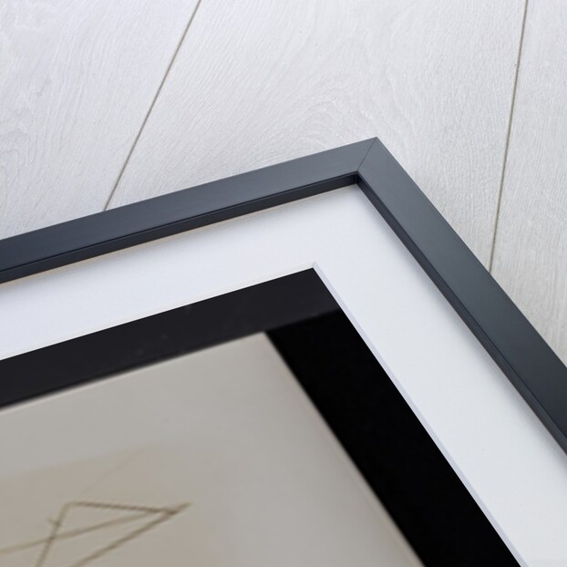 The Flugrad Nemethy by Andrew Pitcairn-Knowles