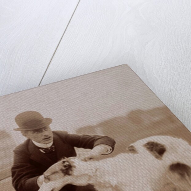 A Handsome Competitor by Andrew Pitcairn-Knowles