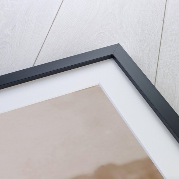 A Handsome Competitor by Andrew Pitcairn-Knowles