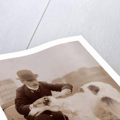 A Handsome Competitor by Andrew Pitcairn-Knowles