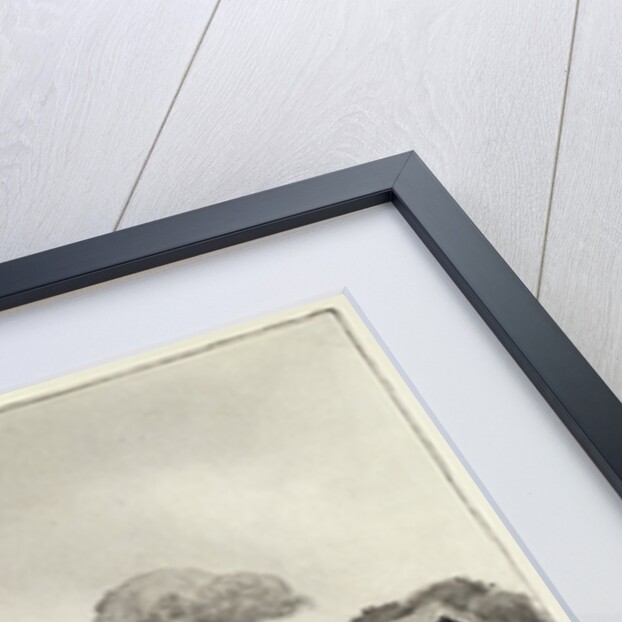 A Craftsman House depicting exterior with garden by unknown