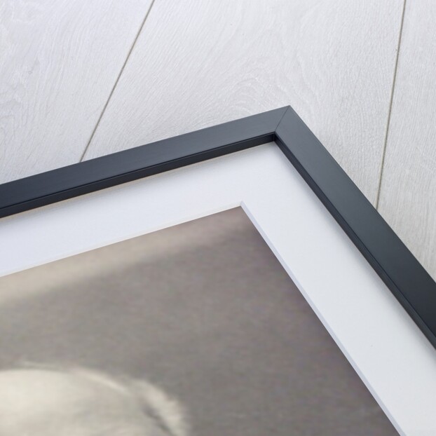 Admiral Adean by Frederick Hollyer