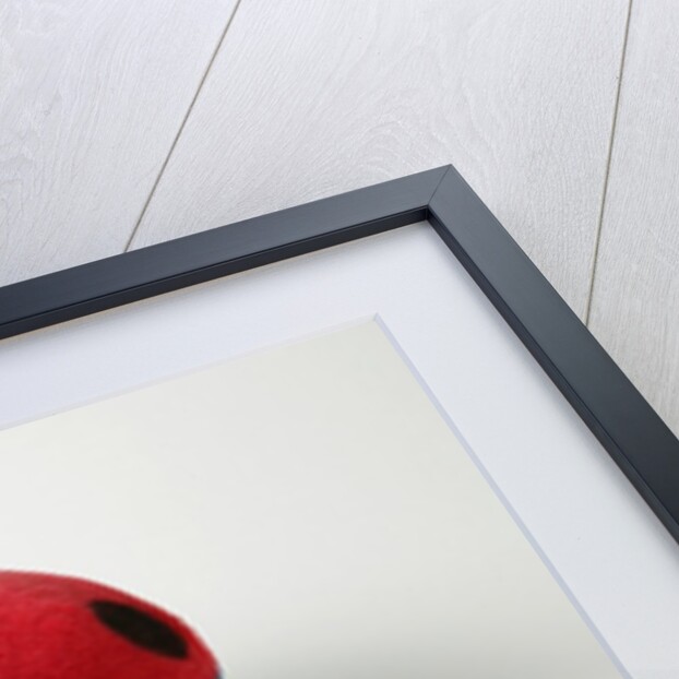 Pull along ladybird by Margarete Steiff