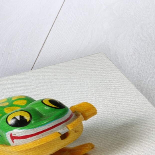 Clockwork frog by Yoneya Co. Ltd