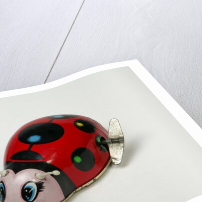 Clockwork ladybird by Unknown