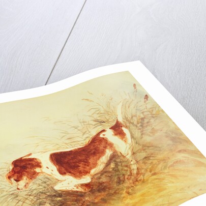 Dog Watching a Rat in the Water at Dedham by John Constable