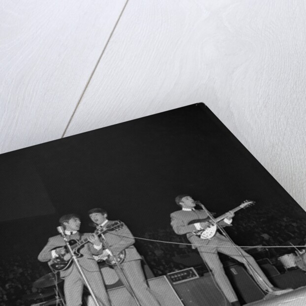 The Beatles by Harry Hammond