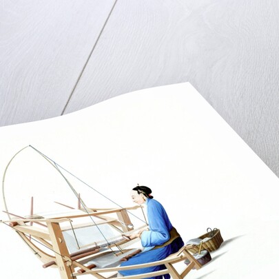 Woman weaving cotton by Unknown