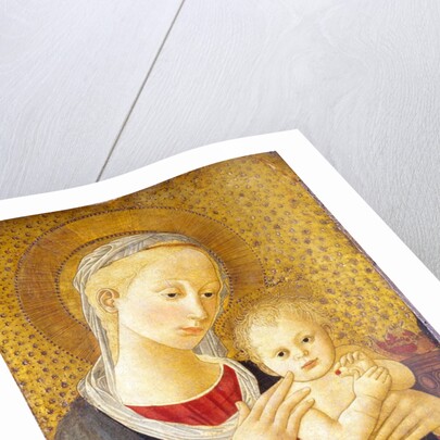 The Virgin and Child by Lippi and Pesellino Imitator