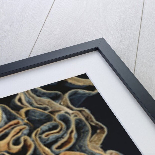 Woman's Dress. Kohistan, Pakistan, 20th century by Unknown