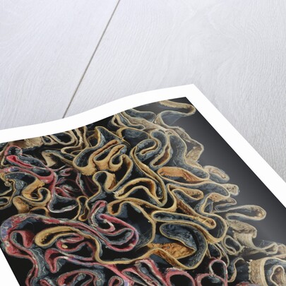 Woman's Dress. Kohistan, Pakistan, 20th century by Unknown