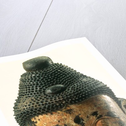 Head of Buddha from Tang Dynasty. China, c.700-900 by Unknown
