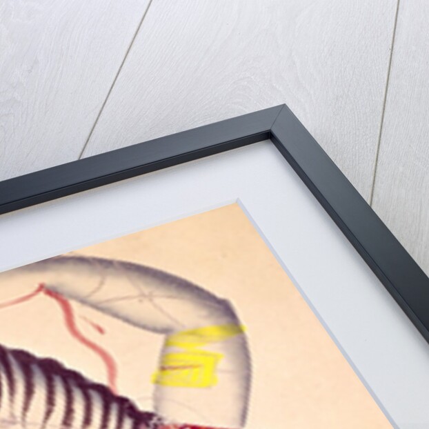 Vishnu as Narasimha in a Kalighat painting. Calcutta, India, c.1855-60 by Unknown