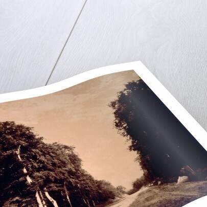 The Road to Chailly, Forest of Fontainebleau by Gustave Le Gray