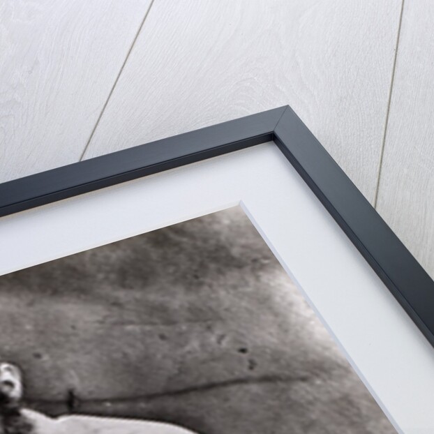 Major General Sir Hope Grant by Felice Beato