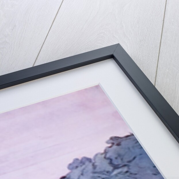 Scenery design for The Sleeping Princess by Leon Bakst