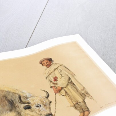 Tibet Ox and Man from Kunawur by William Carpenter