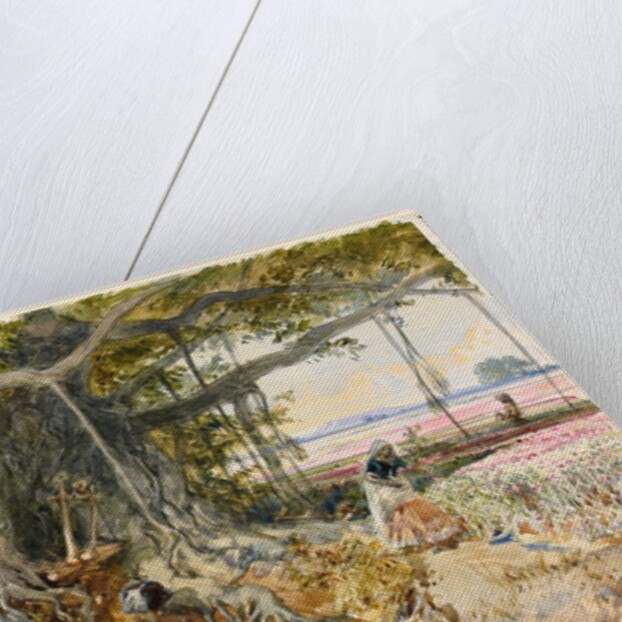 Harvesting opium from poppies under the branches of a banyan tree by William Simpson