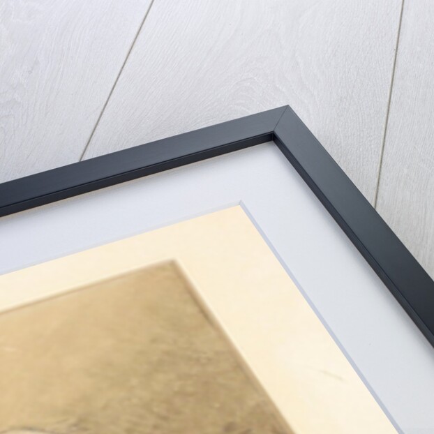 A muslim having his head shaved by William Carpenter