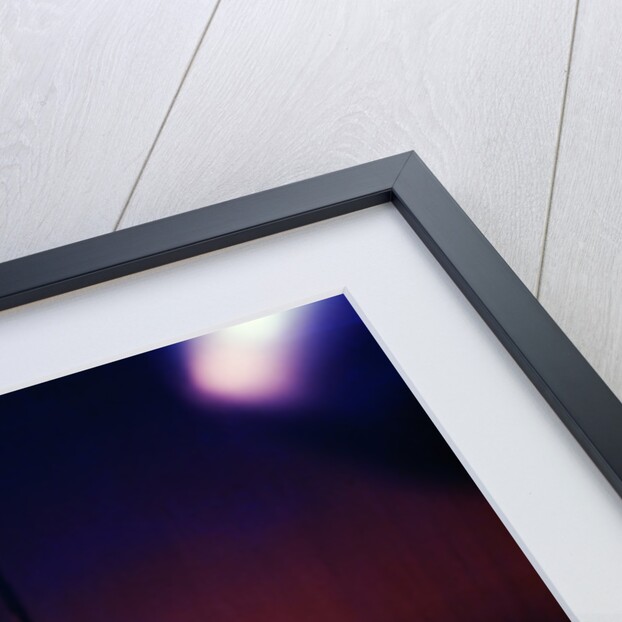 Rudolf Nureyev and Margot Fonteyn in Frederick Ashton's Marguerite and Armand by Anthony Crickmay